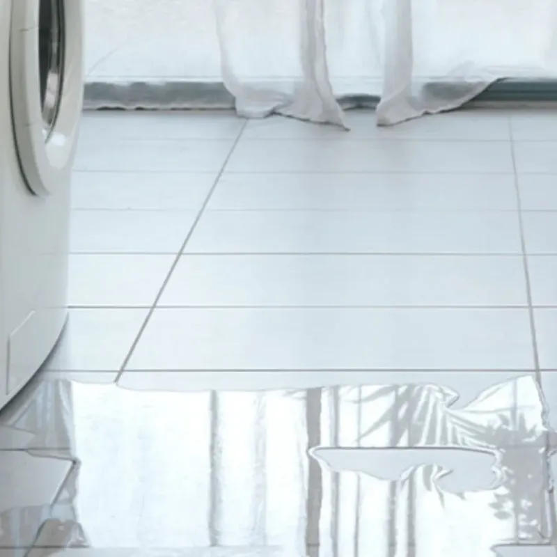 Appliance Leak Cleanup in Polk County, FL