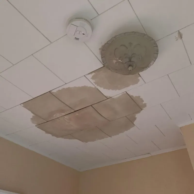 Ceiling Water Damage Repair in Polk County, FL